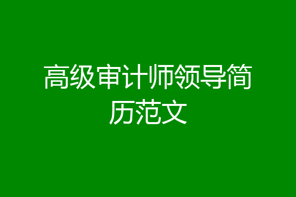 高级审计师领导简历范文