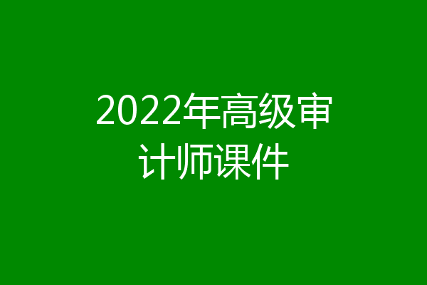 2022年高级审计师课件
