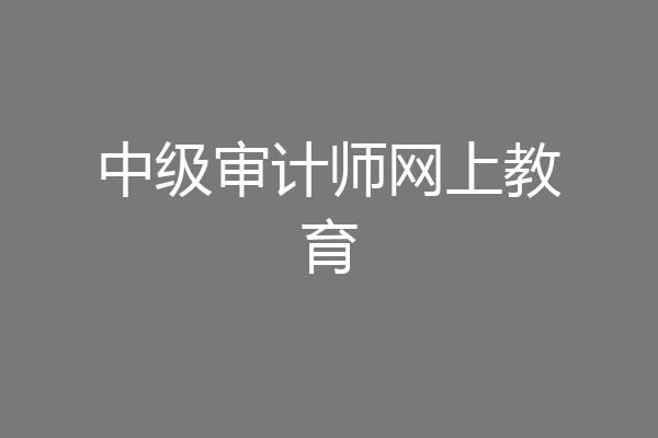 中级审计师网上教育