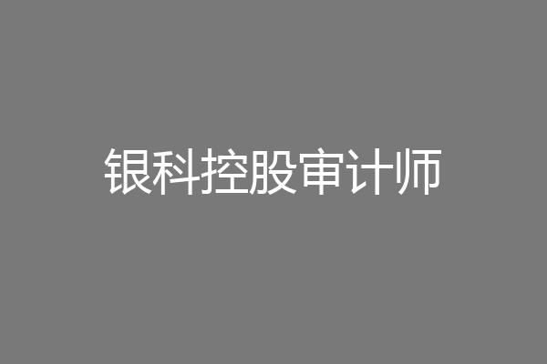 银科控股审计师