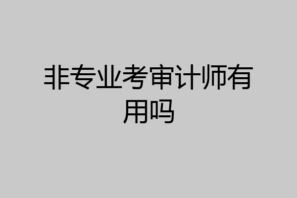 非专业考审计师有用吗