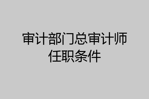 审计部门总审计师任职条件
