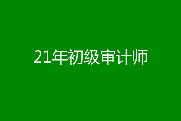 21年初级审计师