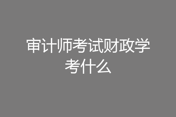 审计师考试财政学考什么