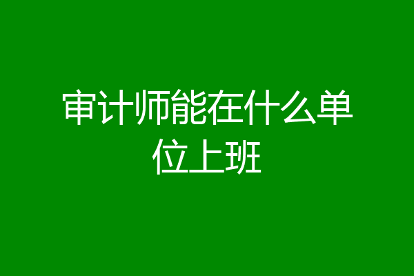 审计师能在什么单位上班