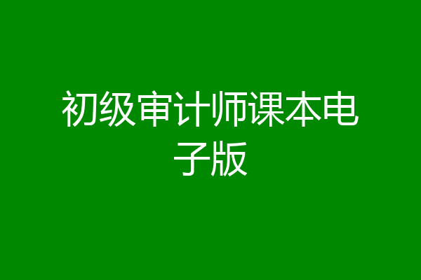 初级审计师课本电子版