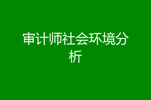 审计师社会环境分析