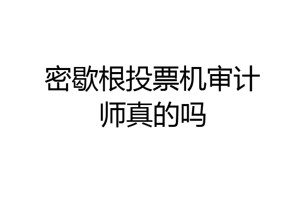 密歇根投票机审计师真的吗