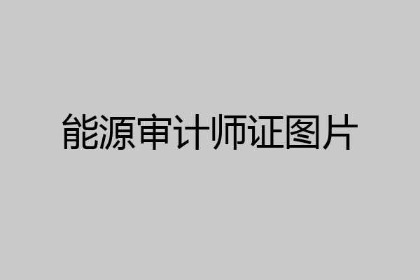 能源审计师证图片