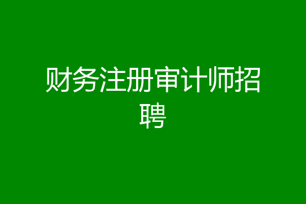 财务注册审计师招聘