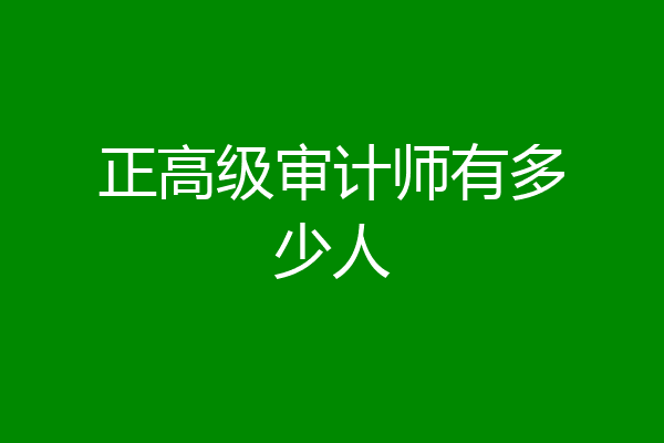 正高级审计师有多少人