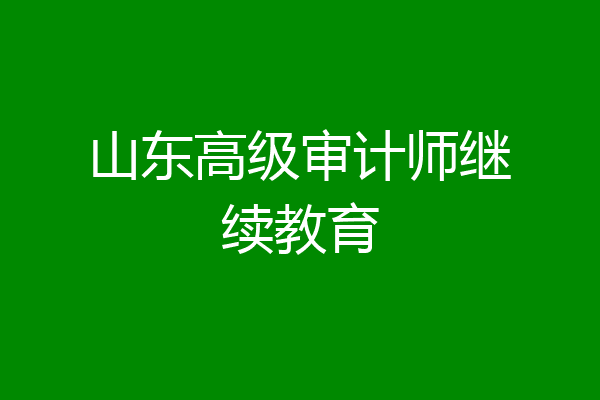 山东高级审计师继续教育