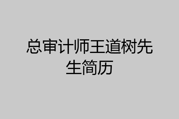 总审计师王道树先生简历