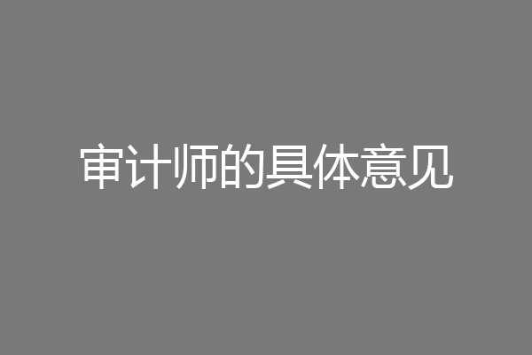 审计师的具体意见