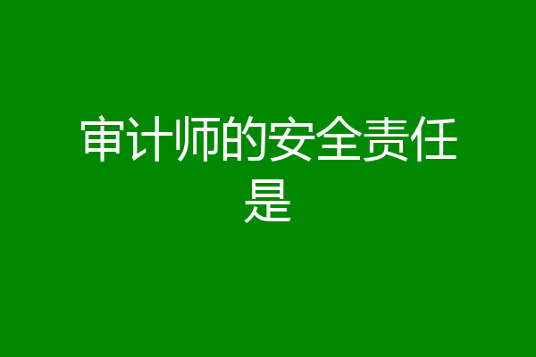 审计师的安全责任是