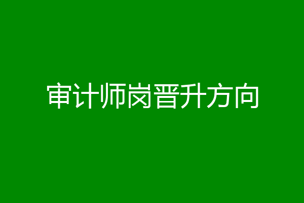 审计师岗晋升方向