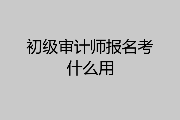 初级审计师报名考什么用