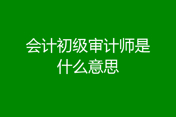 会计初级审计师是什么意思