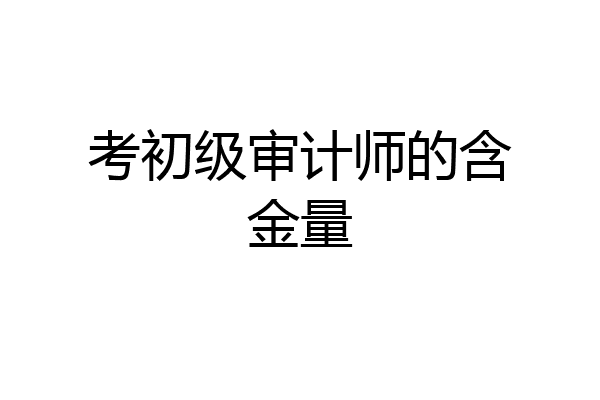 考初级审计师的含金量