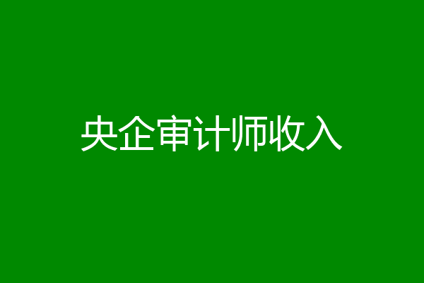 央企审计师收入