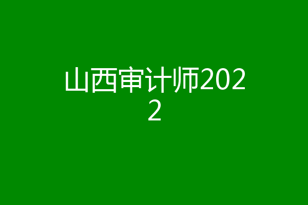 山西审计师2022