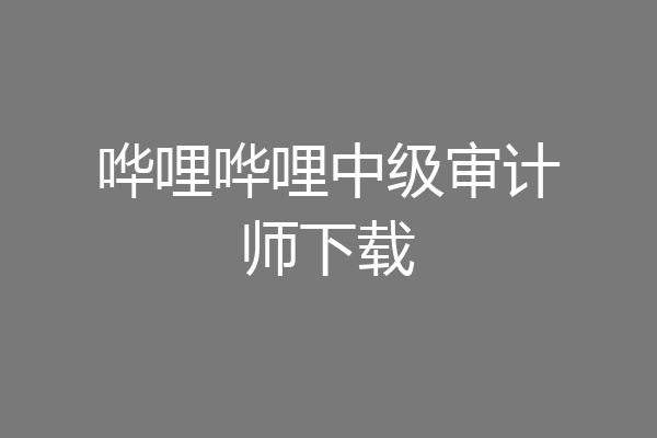 哗哩哗哩中级审计师下载