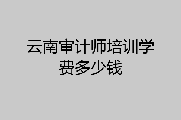 云南审计师培训学费多少钱