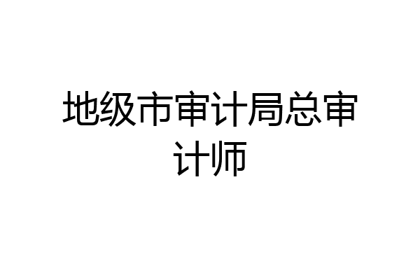 地级市审计局总审计师