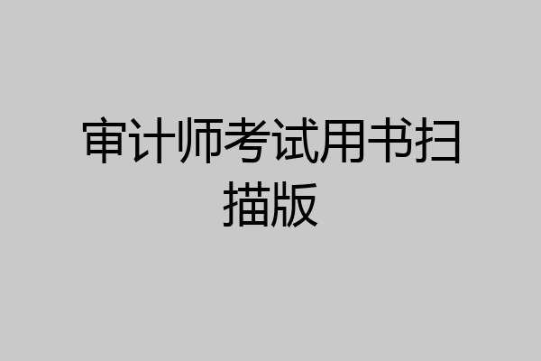 审计师考试用书扫描版