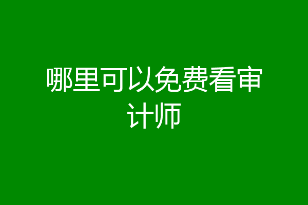 哪里可以免费看审计师