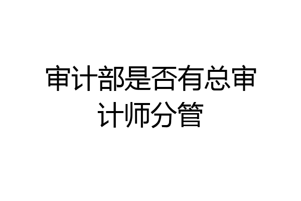 审计部是否有总审计师分管