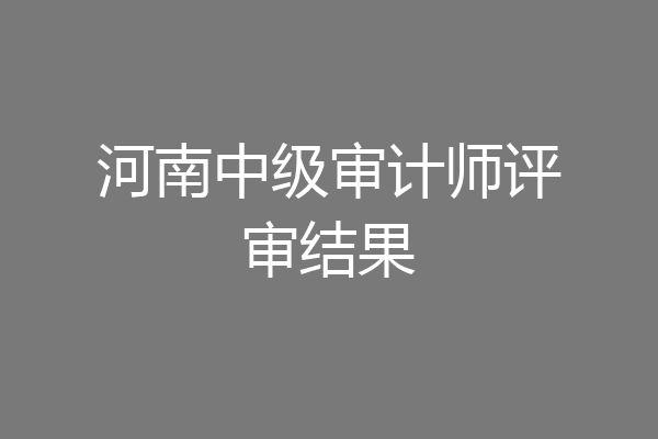 河南中级审计师评审结果