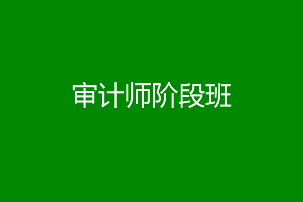 审计师阶段班