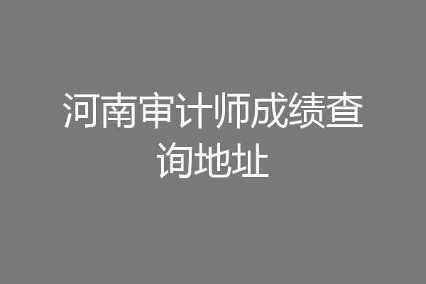 河南审计师成绩查询地址