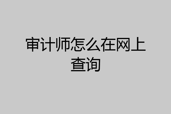 审计师怎么在网上查询