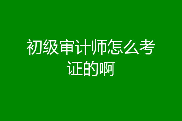 初级审计师怎么考证的啊