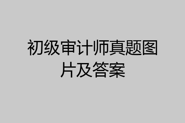 初级审计师真题图片及答案