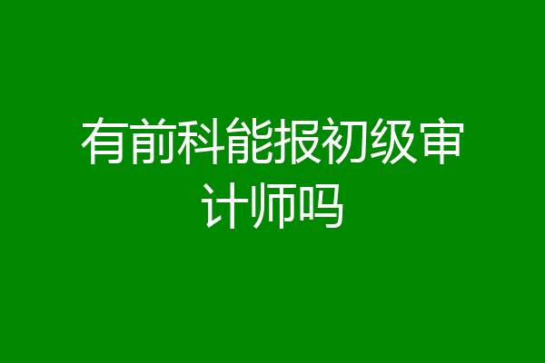 有前科能报初级审计师吗