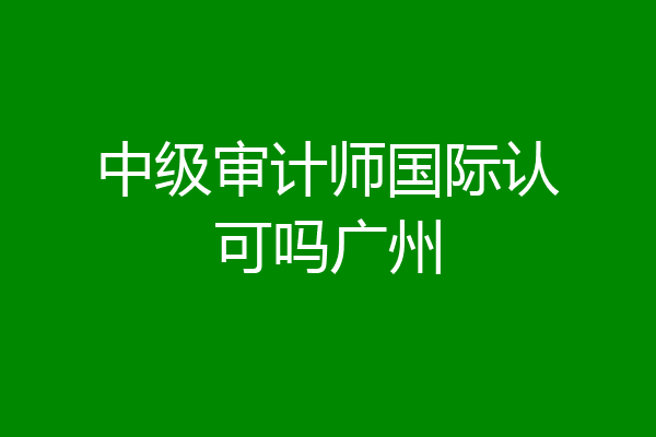 中级审计师国际认可吗广州