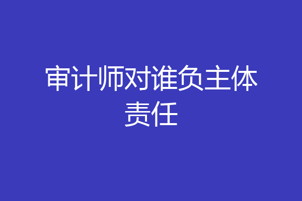 审计师对谁负主体责任