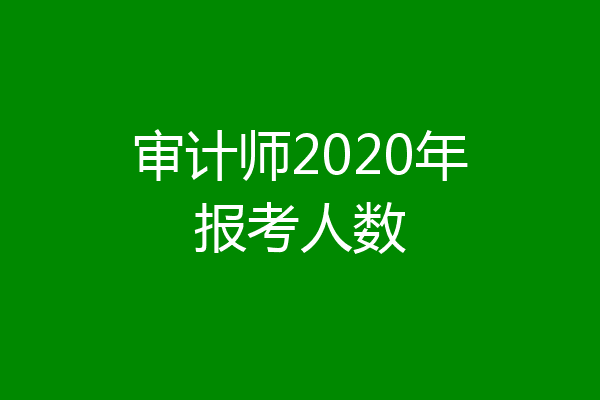审计师2020年报考人数