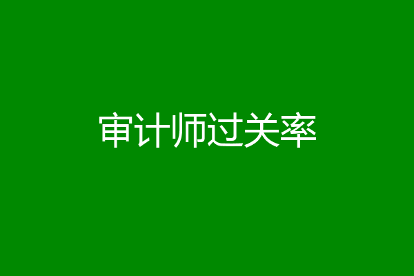 审计师过关率