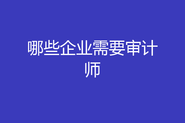 哪些企业需要审计师