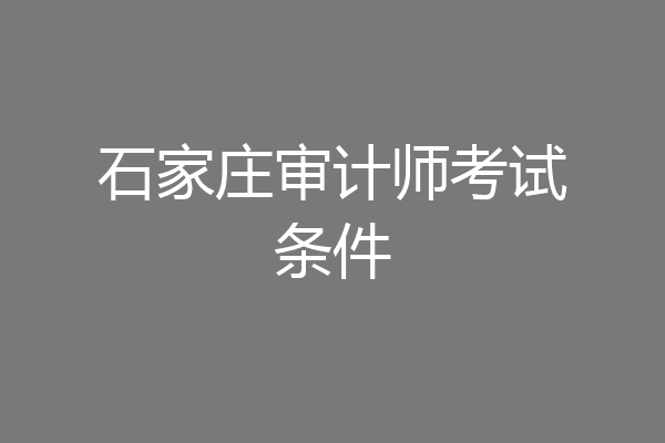 石家庄审计师考试条件