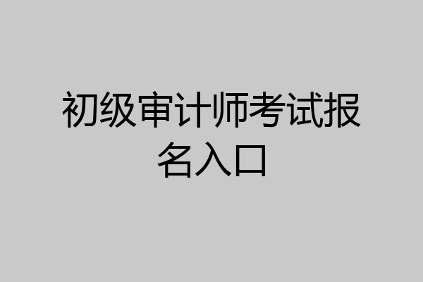 初级审计师考试报名入口