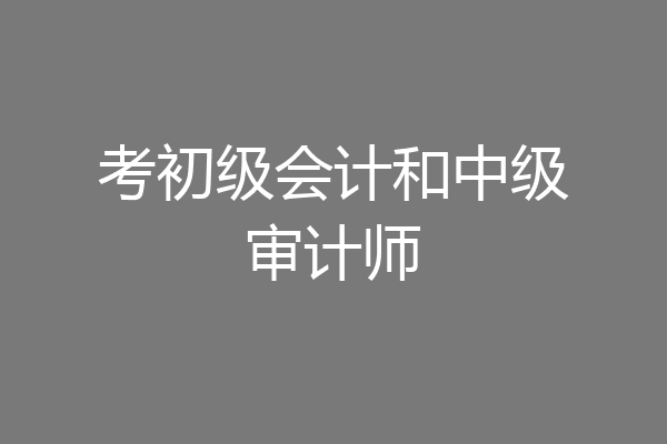 考初级会计和中级审计师