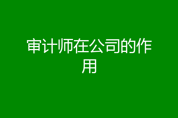 审计师在公司的作用