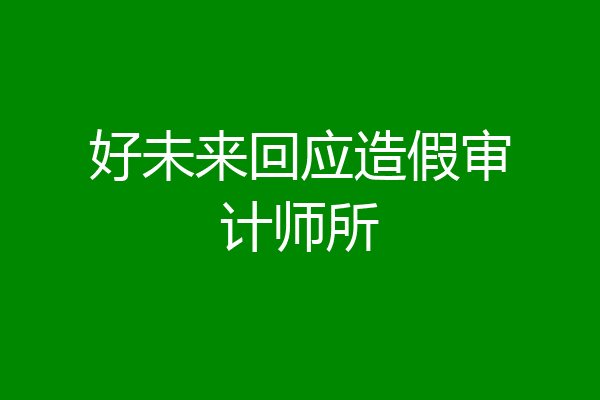 好未来回应造假审计师所