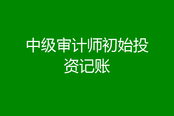 中级审计师初始投资记账