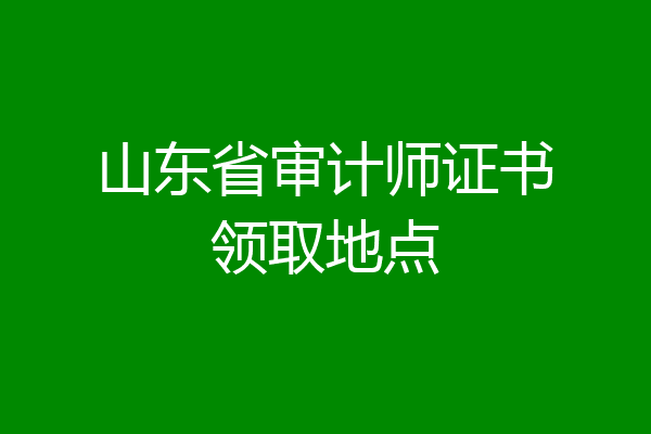 山东省审计师证书领取地点